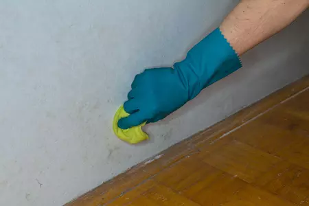 main nettoyant moissure sur un mur