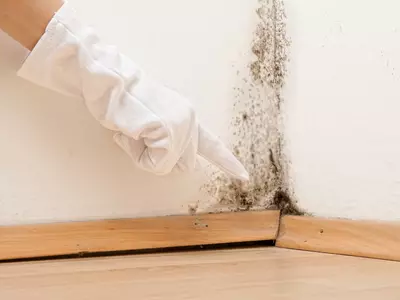 traces d'humidité sur le mur