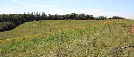 Plantations Cormeilles