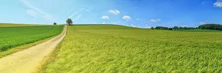 environnement