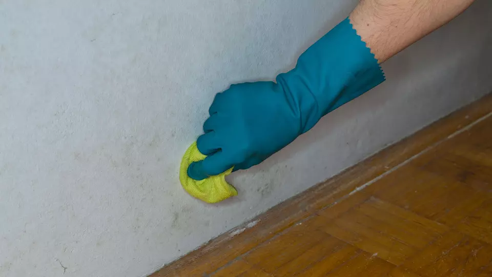 main nettoyant moissure sur un mur